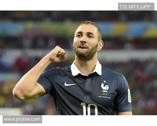 尼日利亚与几内亚2019年精彩对决回顾与分析