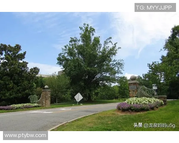 杜克大学与北卡罗来纳州大学的激烈对决揭示篮球传统与未来的碰撞