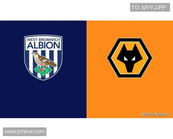 狼队与西布朗激战正酣精彩直播全程回顾与分析