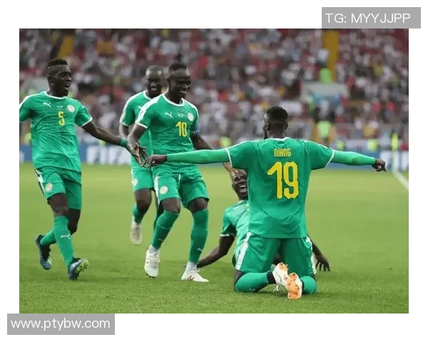 克罗地亚与塞内加尔激战正酣赛事精彩回顾与分析