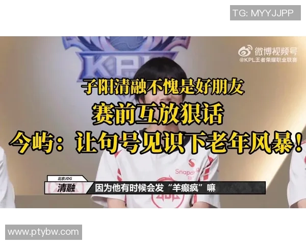 王者荣耀热议JDG战队技术争议引发玩家热烈讨论与反思