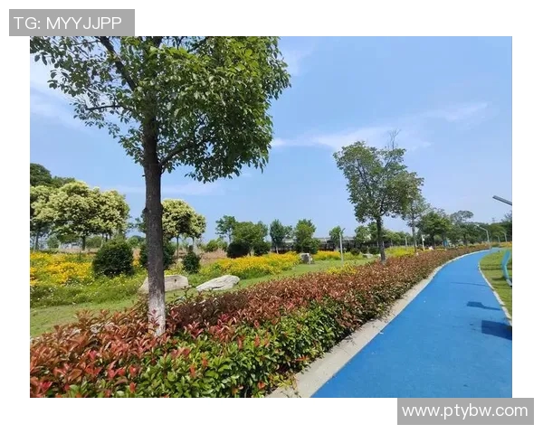 探索abn篮球明星的辉煌历程与赛场传奇背后的故事与成就