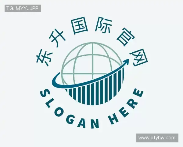 发现东升国际官网